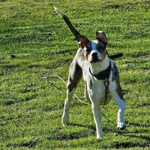 Meet your Posher, Mark